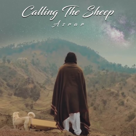 Calling The Sheep | Boomplay Music