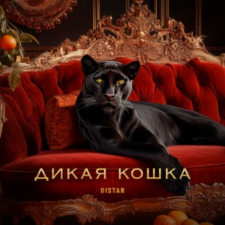 Дикая кошка