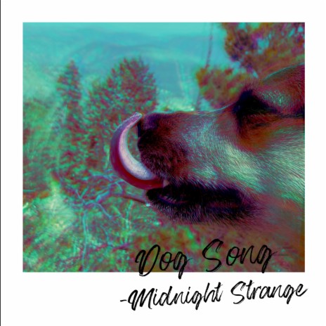 Dog Song - Midnight Strange MP3 download | Dog Song - Midnight Strange  Lyrics | Boomplay Music