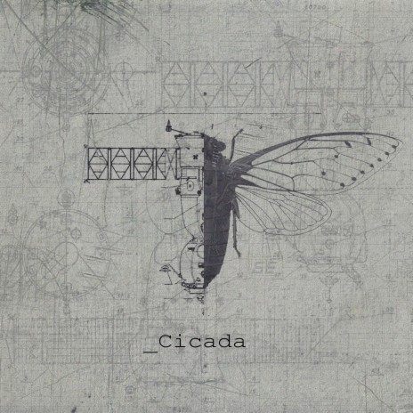 Cicada ft. Sergey Tabachnikov | Boomplay Music