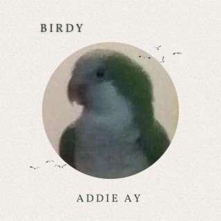 Birdy