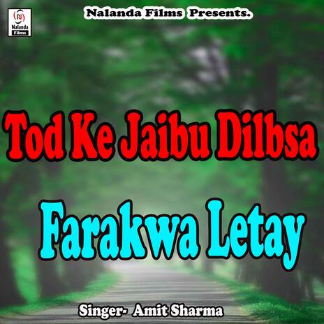 Tod Ke Jaibu Dilbsa Hum Khilauna Ho Gail | Boomplay Music