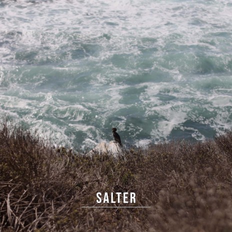 Salter ft. The Synechist | Boomplay Music