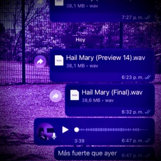 Hail Mary lyrics | Boomplay Music