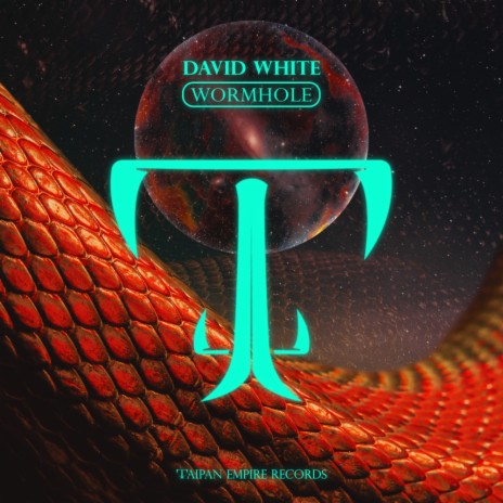 Wormhole (Extended Mix)
