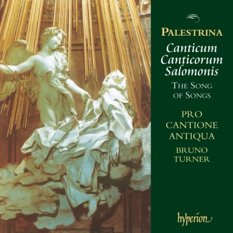 Palestrina: Canticum Canticorum "The Song of Songs": XXVII. Quam pulchra es, et quam decora ft. Bruno Turner