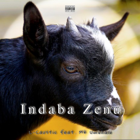 Indaba Zenu ft. Mk Umbhali