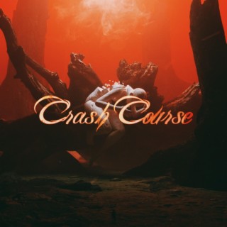 CRASH COURSE lyrics | Boomplay Music