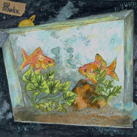 Fish Tanks as Galaxies | Boomplay Music