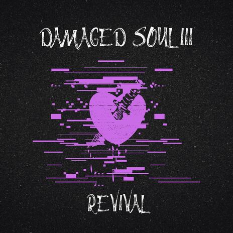 DAMAGED SOUL | Boomplay Music