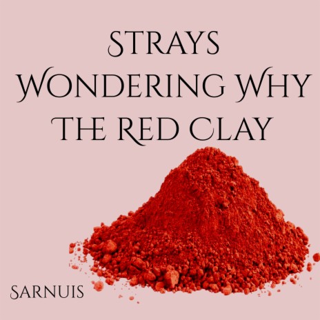 Strays Wondering Why the Red Clay