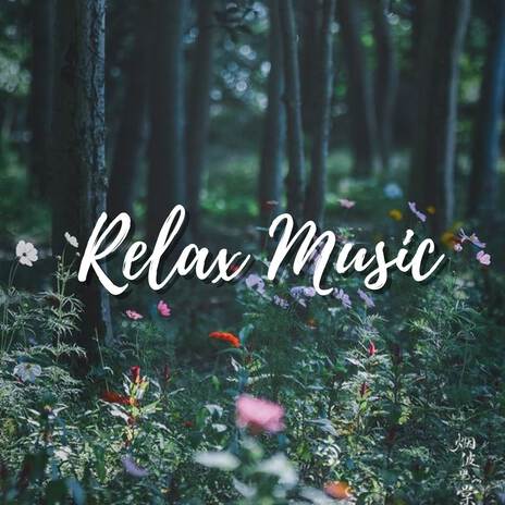 Relaxing Piano Music | The Sound Of Birds Chirping, Serenity Creates A Feeling Of Calm | Boomplay Music