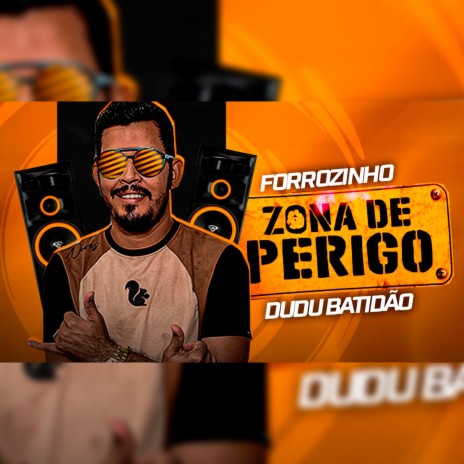 Forrozinho Zona de Perigo | Boomplay Music