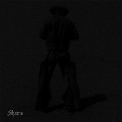 Shame (feat. Phoebe Bridgers) | Boomplay Music