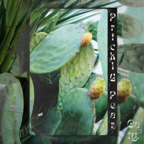 Prickly Pear | Boomplay Music