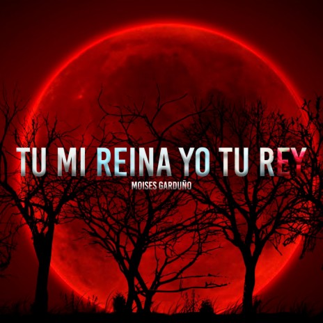 Tu Mi Reina Yo Tu Rey | Boomplay Music