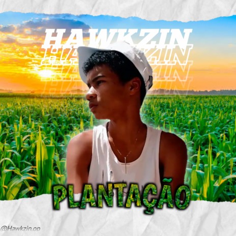 Plantação | Boomplay Music