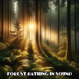 Forest Bathing in Sound: Imaginative Healing Tones & Forest Sounds, Path Through Nature's Sanctuary