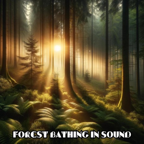 Vibrations from the Ancient Woods | Boomplay Music