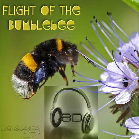 Flight of the Bumblebee - Nikolai Rimsky-Korsakov - 8D Binaural Sound (8D Binaural Sound - Music Therapy)