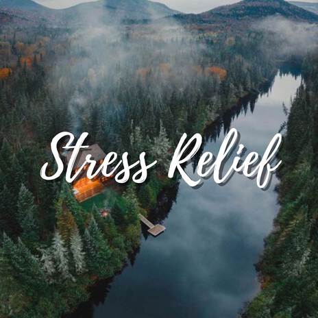 Calming Water Stream Flowing Under a Big Forest, Sleep, Relaxation, Focus | Boomplay Music