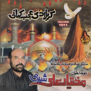 Karbala Di Ajab Kahani, Vol. 1011