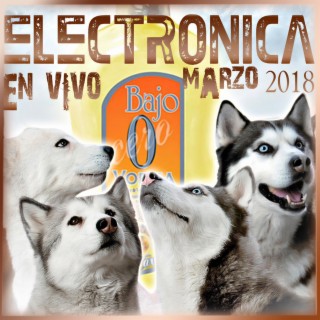 Electronica Bajo 0