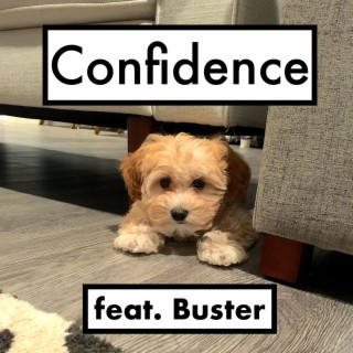 Confidence ft. Buster lyrics | Boomplay Music