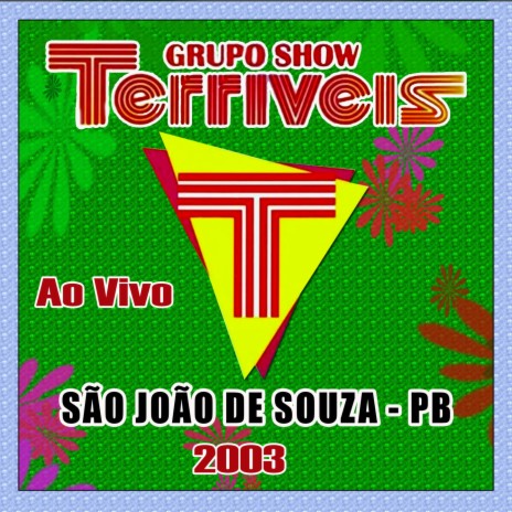 Amor de rapariga - GRUPO SHOW TERRÍVEIS | Boomplay Music