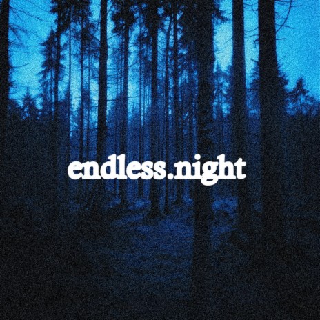 endless.night