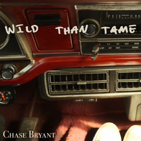 Wild Than Tame | Boomplay Music