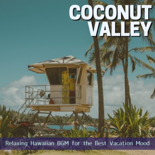 Relaxing Hawaiian Bgm for the Best Vacation Mood