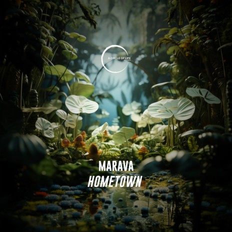 HomeTown (Extended Mix) | Boomplay Music