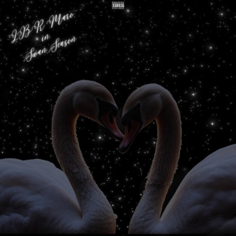 Swan Season | Boomplay Music