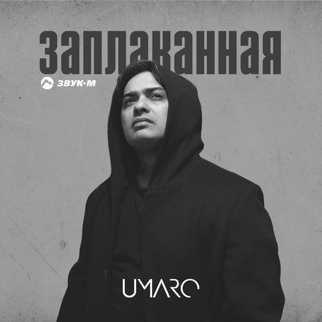 Заплаканная | Boomplay Music