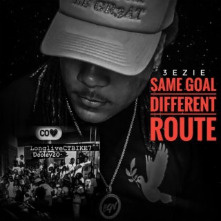 S.G.D.R (same goal different route)