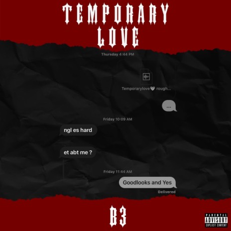 Temporary Love | Boomplay Music