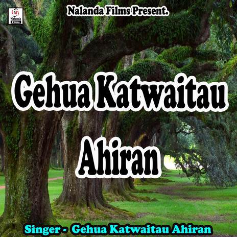 Gehua Katwaitau Ahiran | Boomplay Music