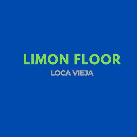 Loca vieja | Boomplay Music