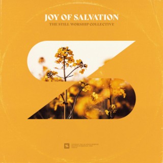 Joy of Salvation lyrics | Boomplay Music