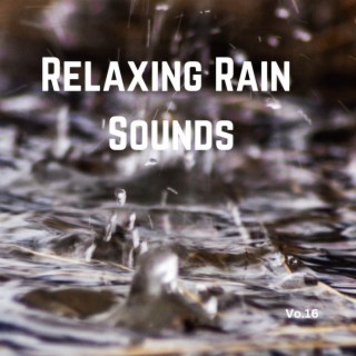 Relaxing Rain Sounds (Vol.16)