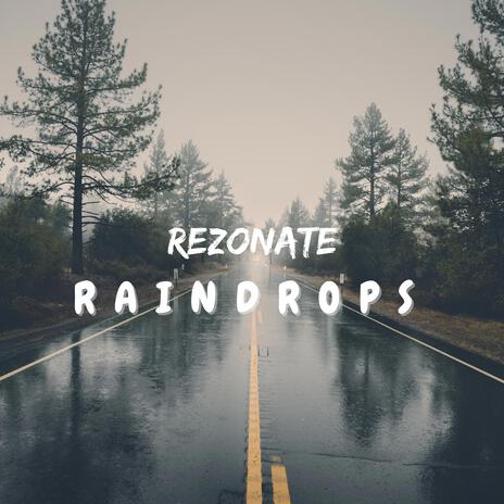 Raindrops (Radio Edit) | Boomplay Music