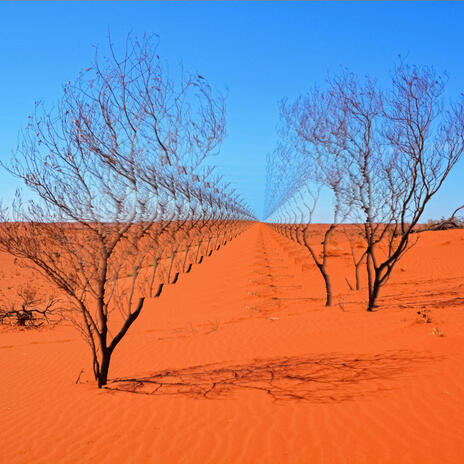 Arid Outback | Boomplay Music