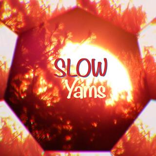 Slow Yams