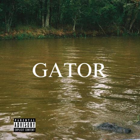 GATOR | Boomplay Music