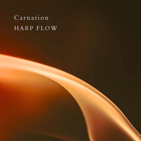 Carnation | Boomplay Music