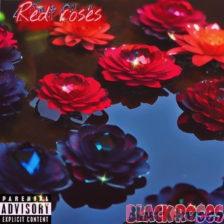 Black Roses//+//Red Roses