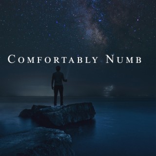 Comfortably numb (Borderless Version) lyrics | Boomplay Music