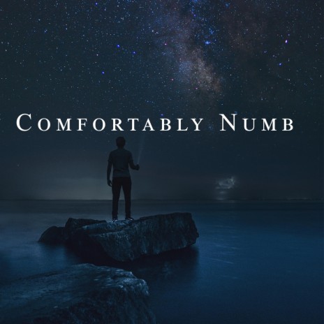 Comfortably numb (Borderless Version) | Boomplay Music
