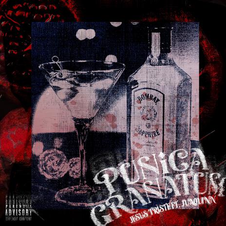 PUNICA GRANATUM ft. Juaquinn | Boomplay Music